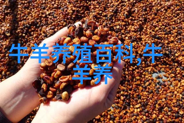 用大豆皮代替日粮中部分玉米对提高奶牛产奶量和乳脂率会有促进作用