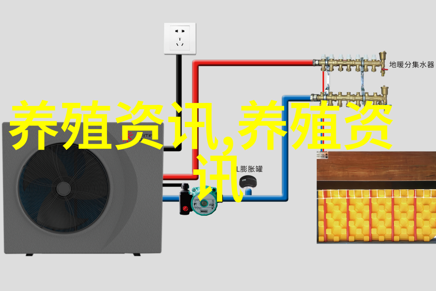 鸡蛋价格飞涨养殖单位仍需理性对待